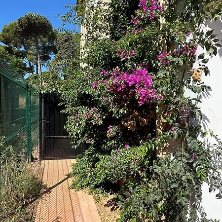 Les Lys 2 Apartment La Seyne-sur-Mer